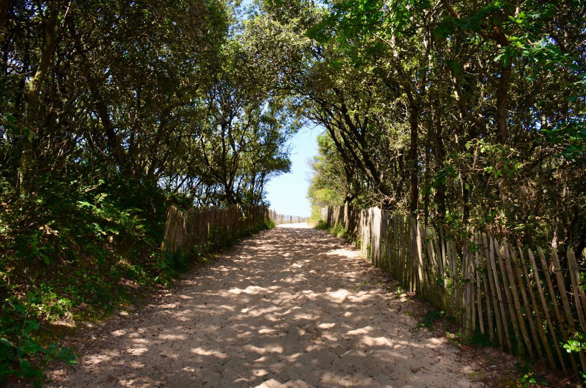 Camping Le Clos Des Pins Longeville-sur-Mer Extérieur photo